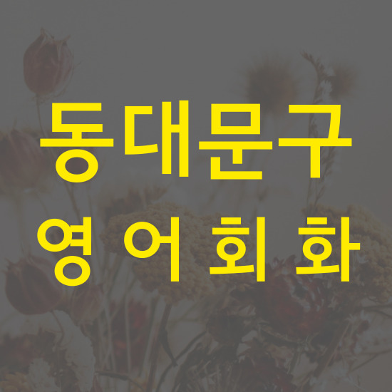  동대문구 왕초보 영어회화 일대일 주부 직장인 답십리동 신설동 제기동 청량리동 장안동