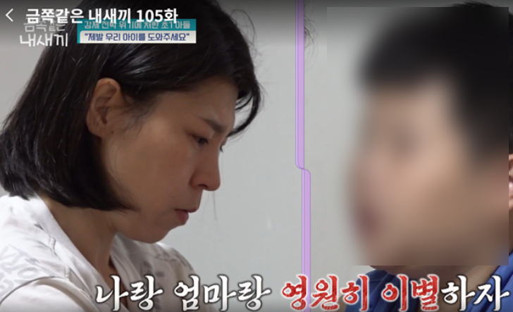  금쪽같은 내새끼 105회 아스퍼거 증후군 증상 테스트 과민성 높은 금쪽이