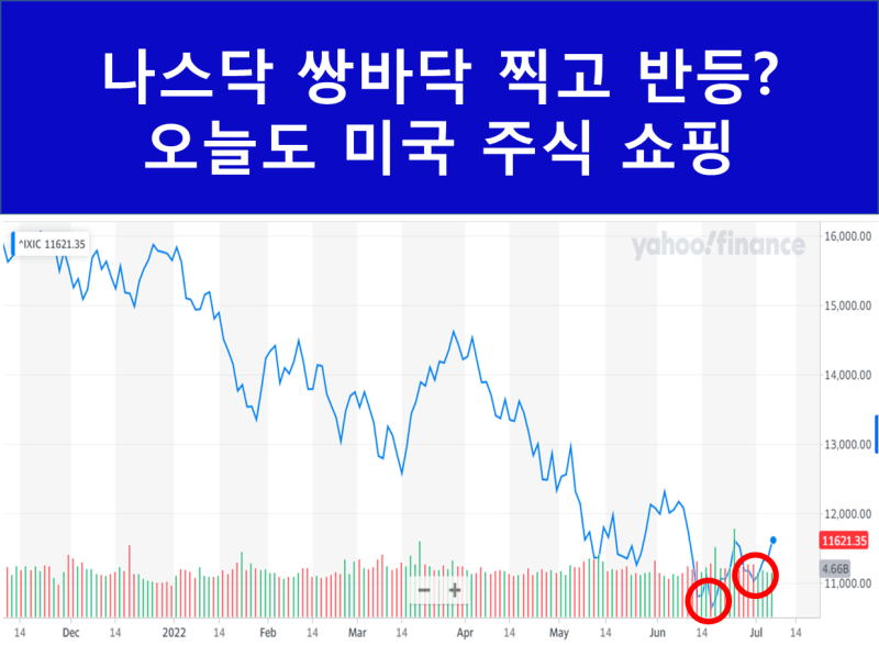 (미 주식) 테슬라, 바닥 다지기 후 상승세…테슬라 2분기 납품량, 테슬라 주가 트럼프 지지율 상승, 테슬라 하반기 이슈