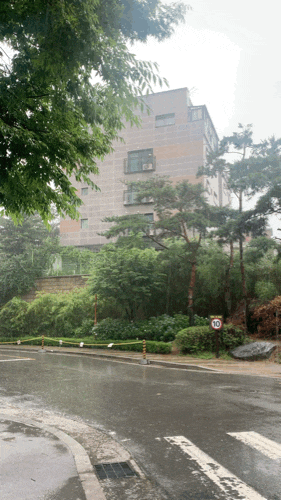  주간일기 : 6월 5주