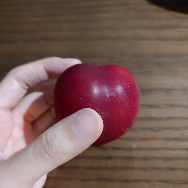 여름과일의 신, 자두의 철이 돌아왔다! 자두 한 팩 끝까지 맛있게 먹는 법 널리 알리기