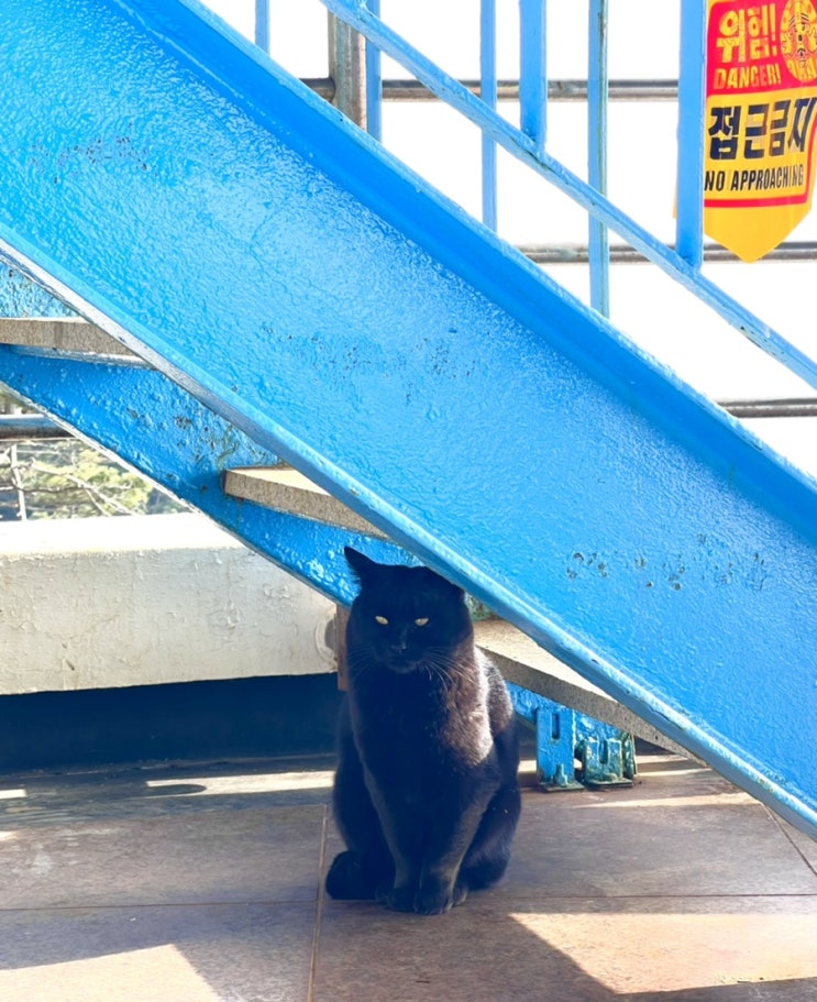  혼자부산여행 태종대 부터 부산역 신발원 임페리아 러시아빵집까지