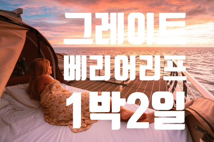  [호주여행/에얼리비치여행] 리프슬립 그레이트배리어리프에서 1박2일투어