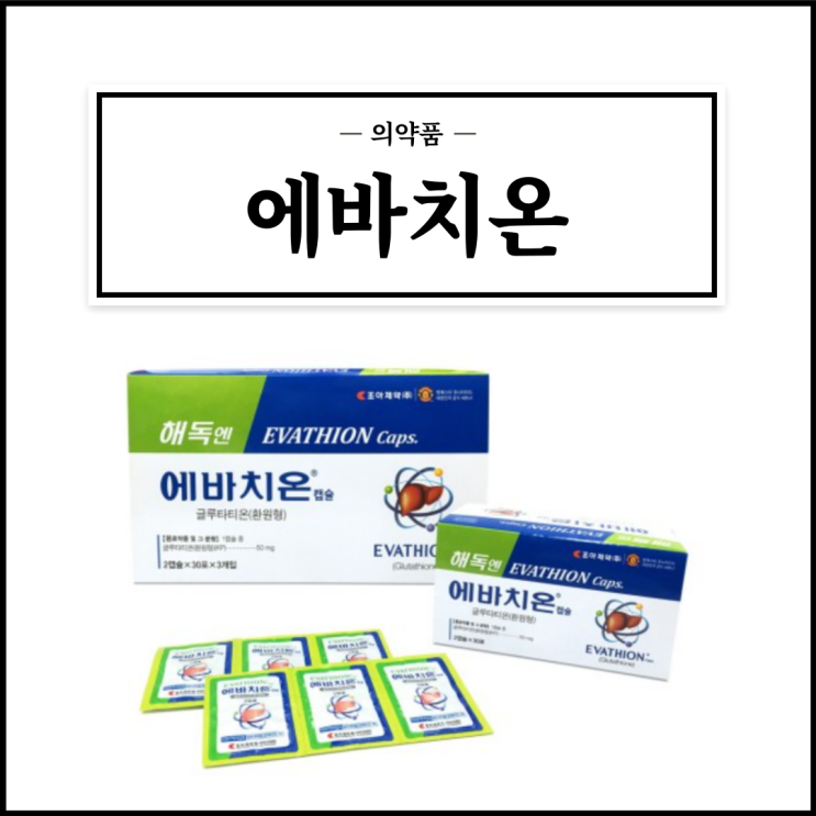  에바치온, 효능효과/복용법/부작용/주의사항 등 간단정리