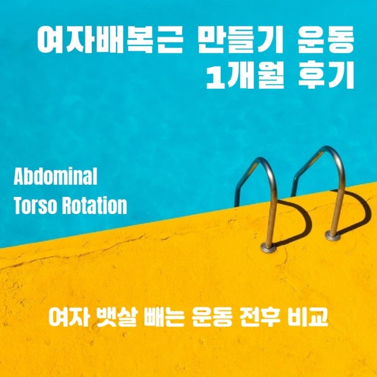 여자배복근 만들기 운동 1개월 후기(Abdominal, Torso Rotation) / 여자 뱃살 빼는 운동 전후 비교
