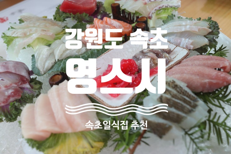  속초 영스시 - 가성비 좋은 속초 일식집 / 속초횟집