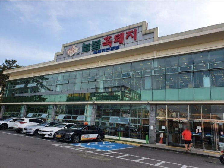  제주맛집 "늘봄흑돼지"를 서장훈부장이 소개 합니다.