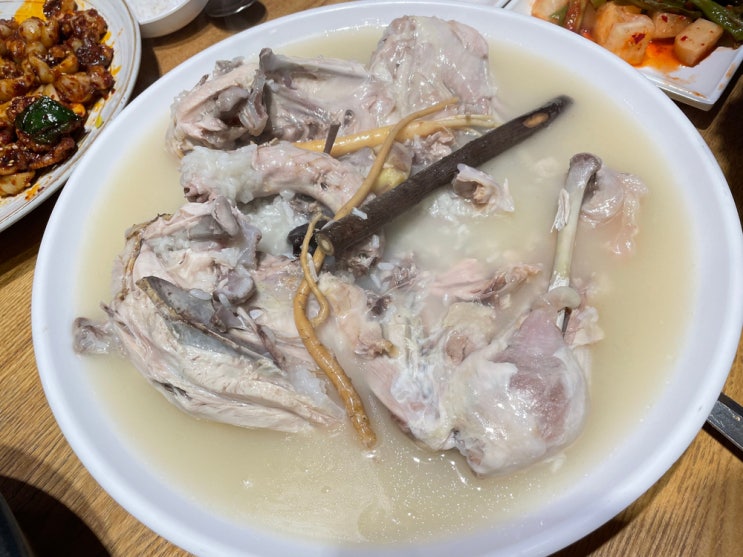  일산보양식 애니골 맛집 가족모임 장소로 추천하는 다람쥐마을 누룽지백숙