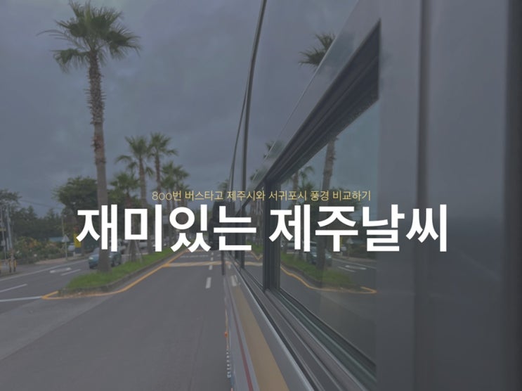  <재미있는 제주 날씨> 800번 버스타고 제주시와 서귀포시 풍경 비교하기