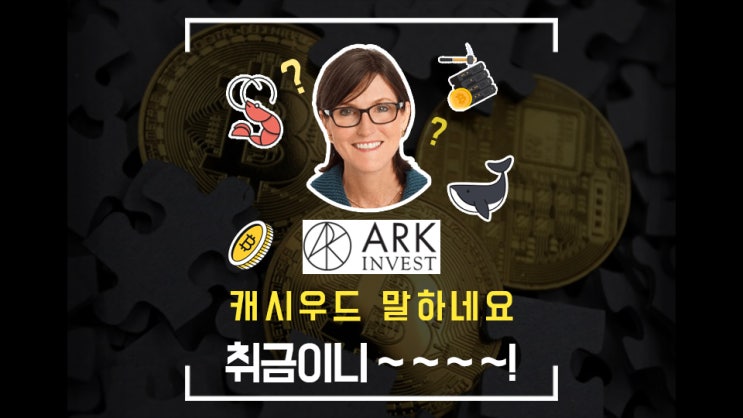  비트코인, 아크 인베스트 6월 월간 리포트 요약본 / 채굴업자는 비트코인을 팔고 있고 고래와 개미는 사고 있다? 팩트체크