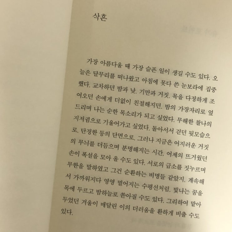 나는 순한 목소리가 되고 싶었다