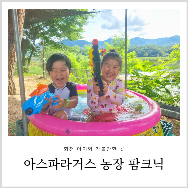 팜크닉 프루떼 아이와 화천 가볼만한곳 아스파라거스 농장 체험 팜크닉 프루떼 아이와 화천 가볼만한곳 아스파라거스 농장 체험