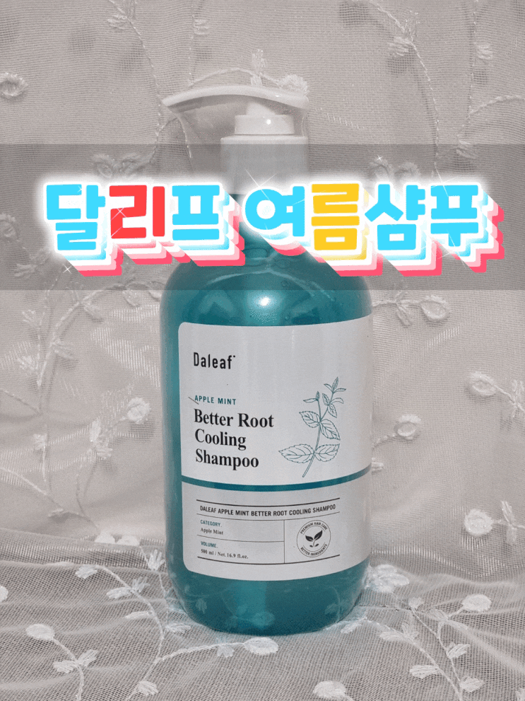  올리브영샴푸 추천 :: 달리프 여름샴푸로 기름기 OUT!