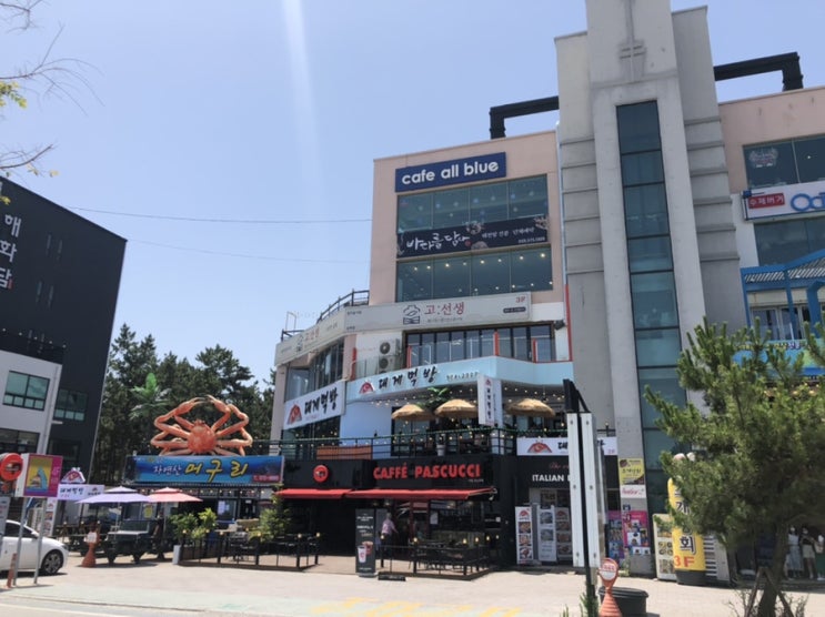  삼척생선구이 먹으러 고선생 화덕생선구이 삼척점 방문