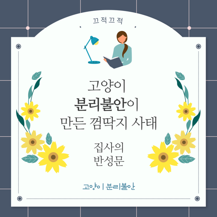 고양이 분리불안이 만든 껌딱지 사태 고양이 분리불안이 만든 껌딱지 사태
