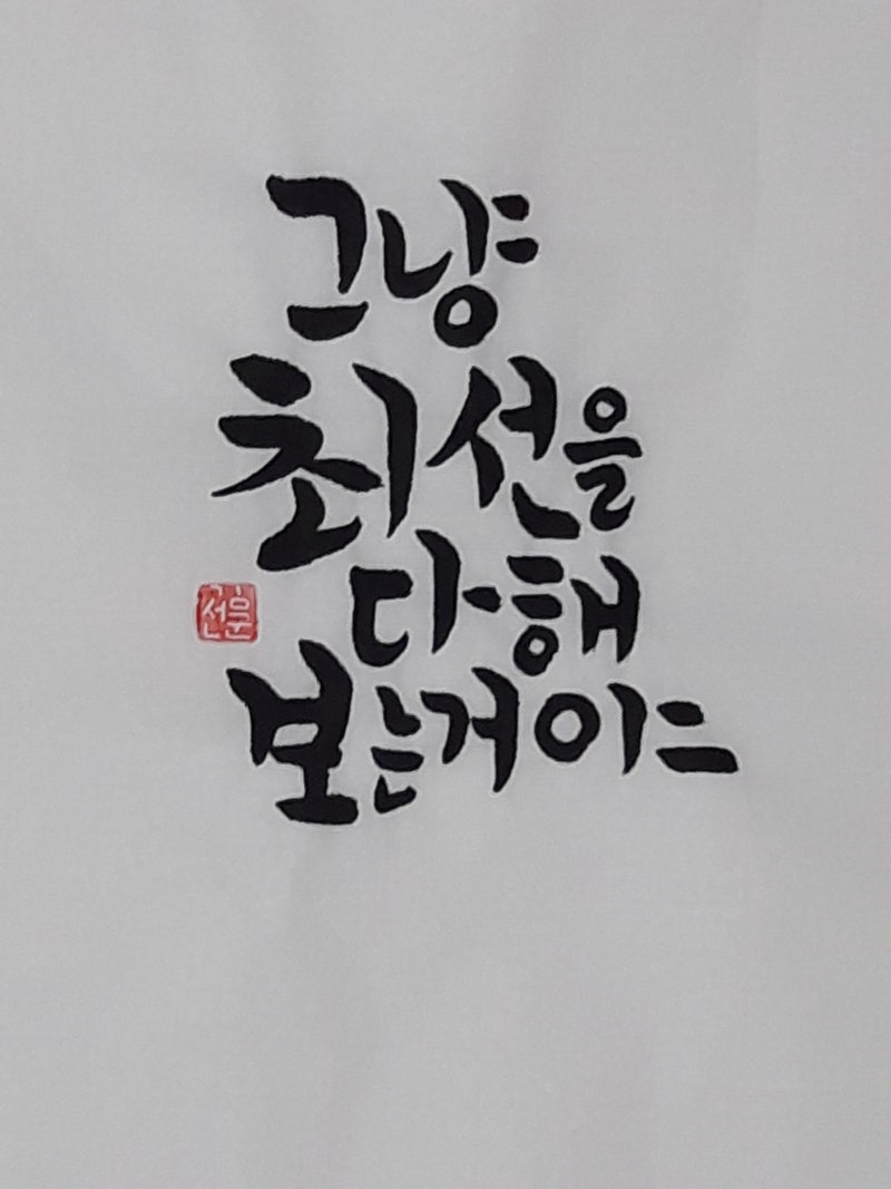그냥 최선을 다해 보는 거야 : 네이버 블로그