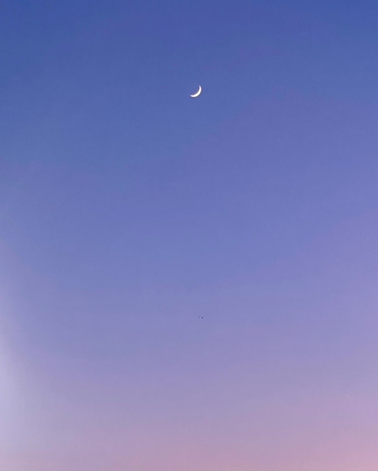  주간일기 제 5화