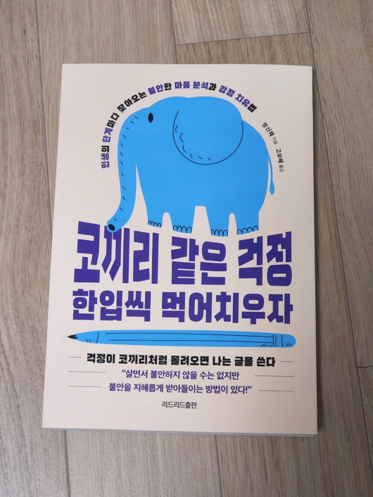  코끼리 같은 걱정 한입씩 먹어치우자 - 치유의 글쓰기