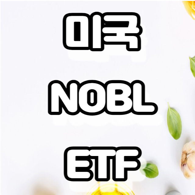 미국 배당 귀족 -NOBL ETF