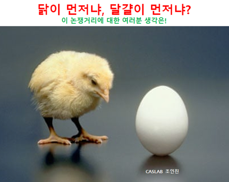 [논쟁거리] 닭이 먼저냐 달걀이 먼저냐? 과학자들의 해답은! (Feat. 플루타르코스, 진화론, 양자역학, 성서 창세기, 재미있는 논쟁거리)