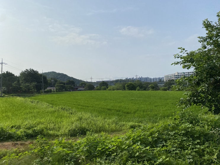  마음이 건강해지거나