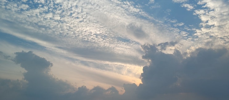  새로운 세상의 행복연구