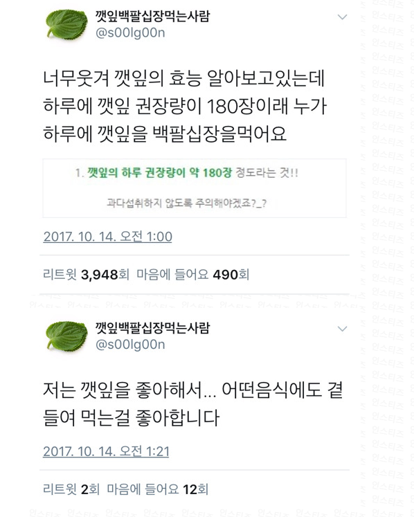  [일상]깻잎 하루 권장섭취량 180장? 이미 초과한 듯 ••....••.•.......、、、、