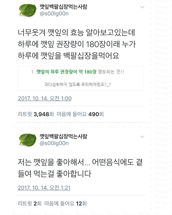 [일상]깻잎 하루 권장섭취량 180장? 이미 초과한 듯 ••....••.•.......、、、、