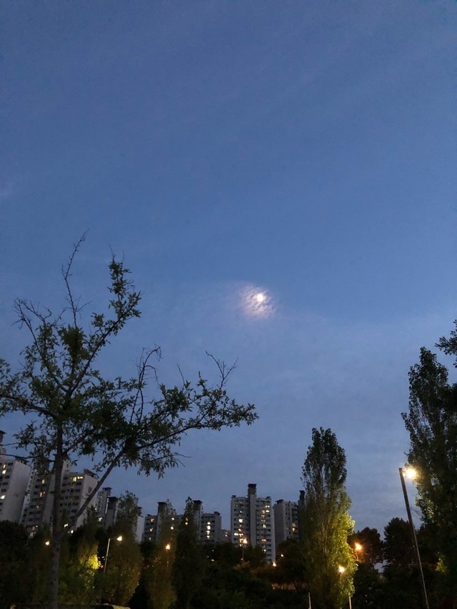  주간일기 챌린지 - 잠원 한강공원 걷기 성수대교 남단 야경