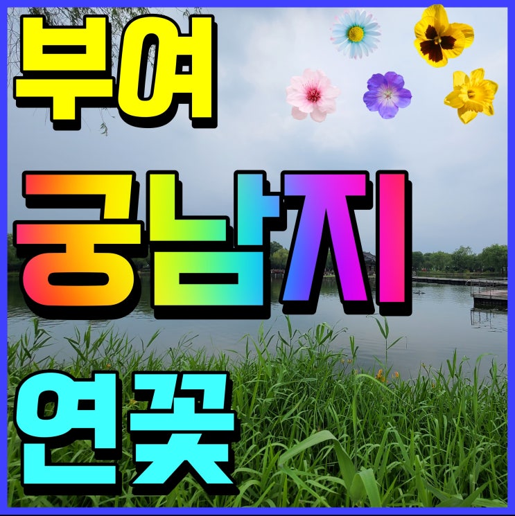  부여 궁남지 연꽃 풍경 여행코스 산책로 따라서 사부작 걸어보자