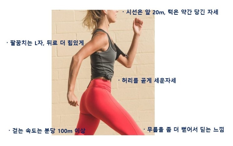  이왕이면 파워워킹 다이어트, 걷기속도와 에너지소비, 달리기와 비교