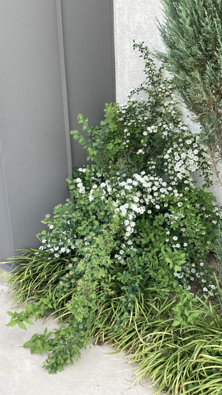  [경주]  경주 여행기록