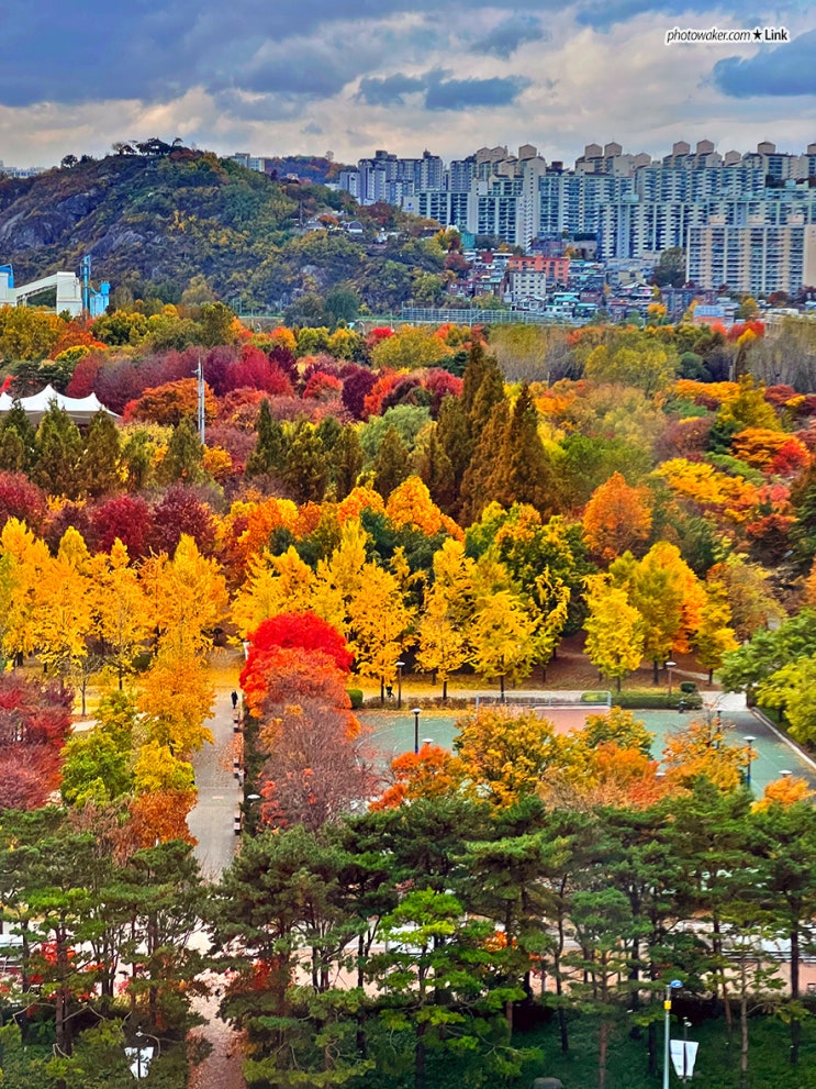  뚝섬역 맛집 탐방 할머니의레시피, 파르코, 윤경양식당