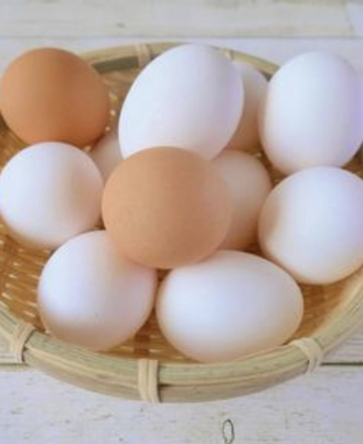  계란 살모넬라 여름철 식중독 주범 계란 다루는 방법