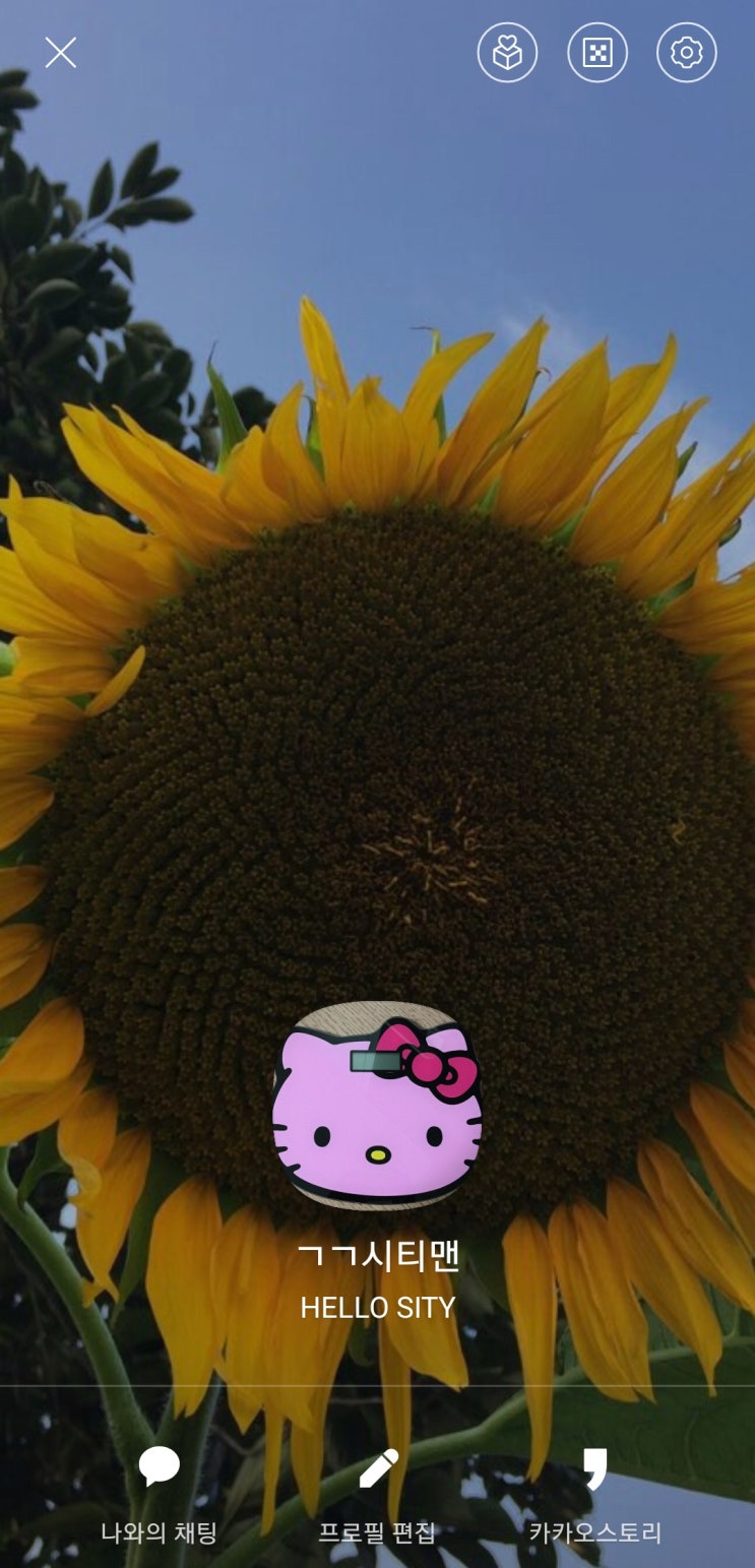  카카오톡도 하루빨리 프로필을 NFT로 대체하길 바란다
