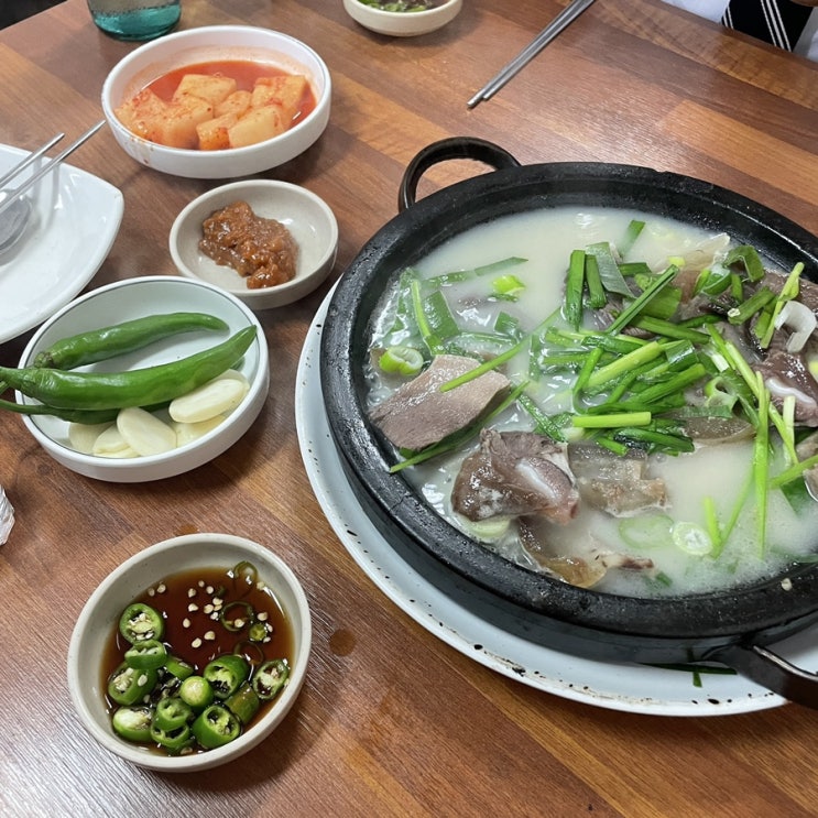  [한식] 논현_현대순대국
