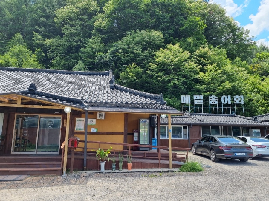 메밀꽃사랑 송어횟집 사진 1
