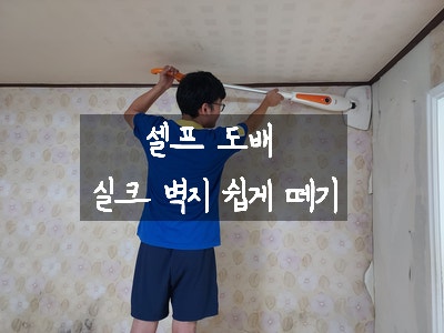  [주간일기 챌린지 5주 차] 인생 첫 셀프 인테리어 - 도배지 벗겨내기 / 셀프 도배 / 다이소 인테리어 용품