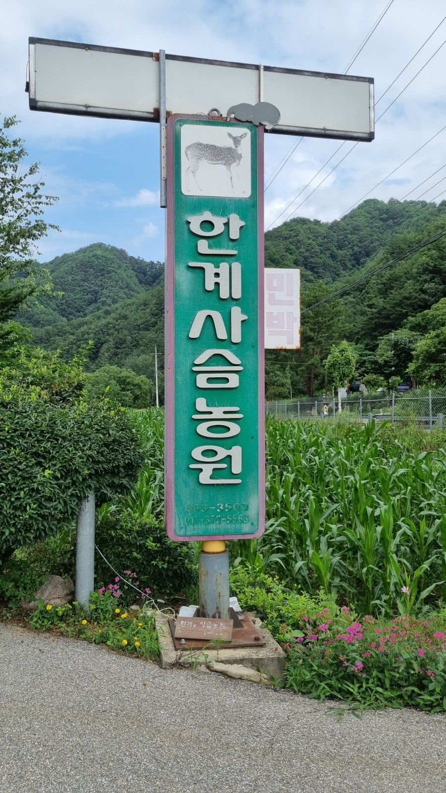 한계사슴농원 사진