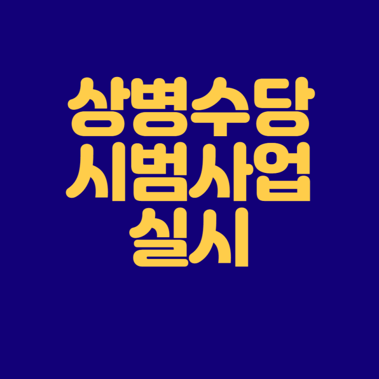  상병수당 시범 사업 실시