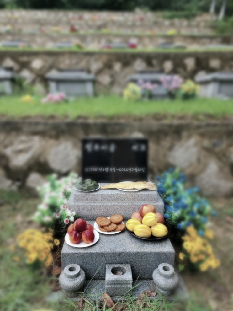  10년