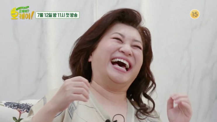 오케이 오케이 출연진 정보 또 오은영 힐러 <b>송가인</b>