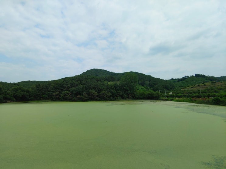  주간일기 5번째