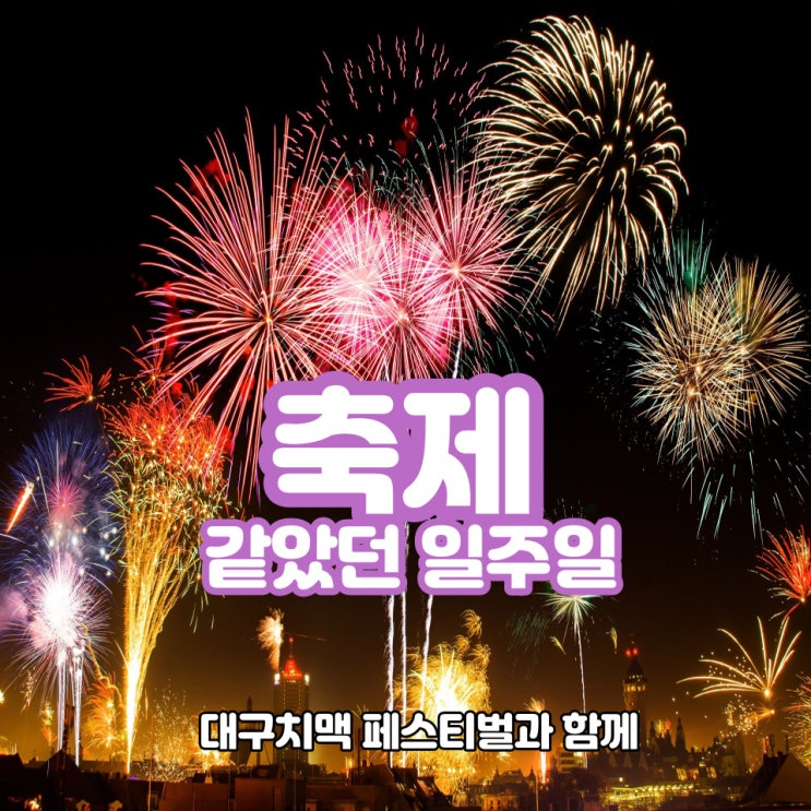  대구 치맥 페스티벌과 함께 한 나의 일주일