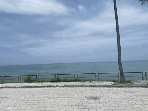  절약하면서 잘 먹고 잘 사는 자취생의 다섯 번째 주간 일기