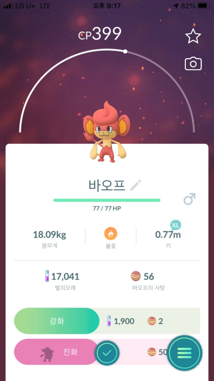  바오프, 바오키
