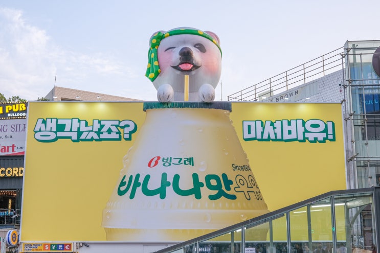  7.9 주간일기