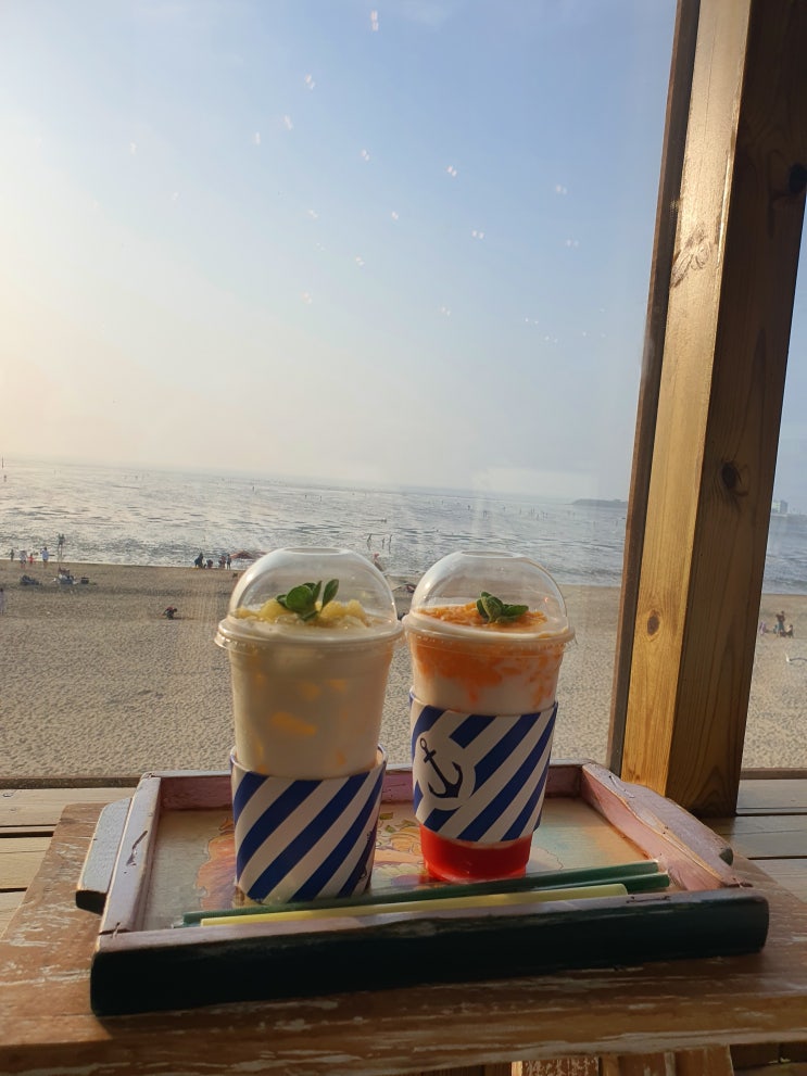  [안산 대부도] 대부도 방아머리해수욕장 고양이가 너무 귀여운 바다뷰 대형카페/ 허니비치 대부도