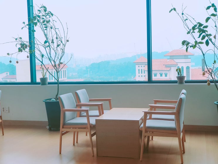  천안 여름 점심코스 박군자 진주냉면 -> 핀스카페