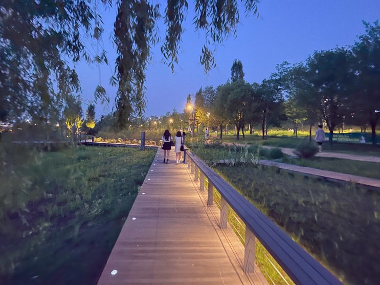  서울 가볼만한곳 마곡나루 서울식물원 야간산책 명소